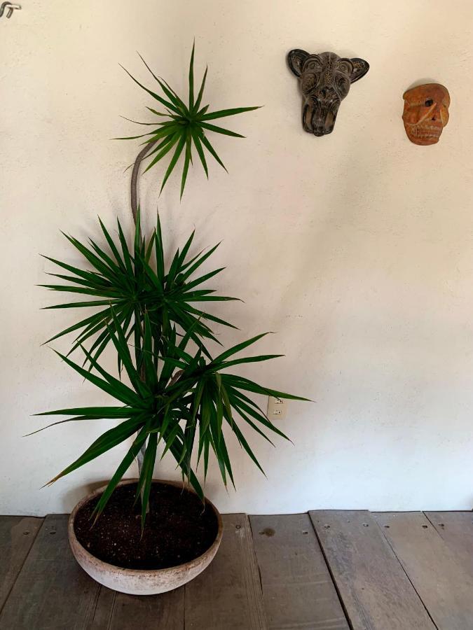Lo Nuestro Petit Hotel Tulum Bagian luar foto